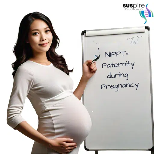 Paternity before pregnanacy